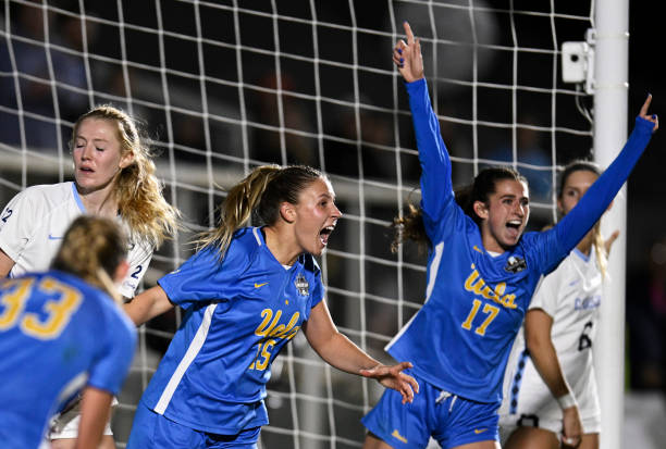 大小不一的 大小不一的