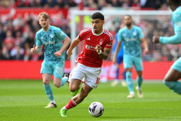 赛结果的改 赛结果的改