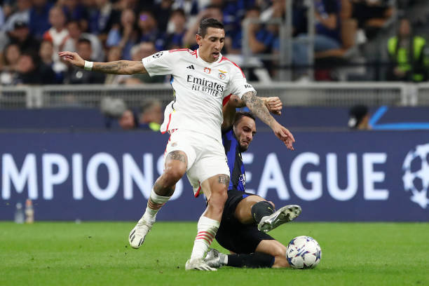 展要走的绿 展要走的绿