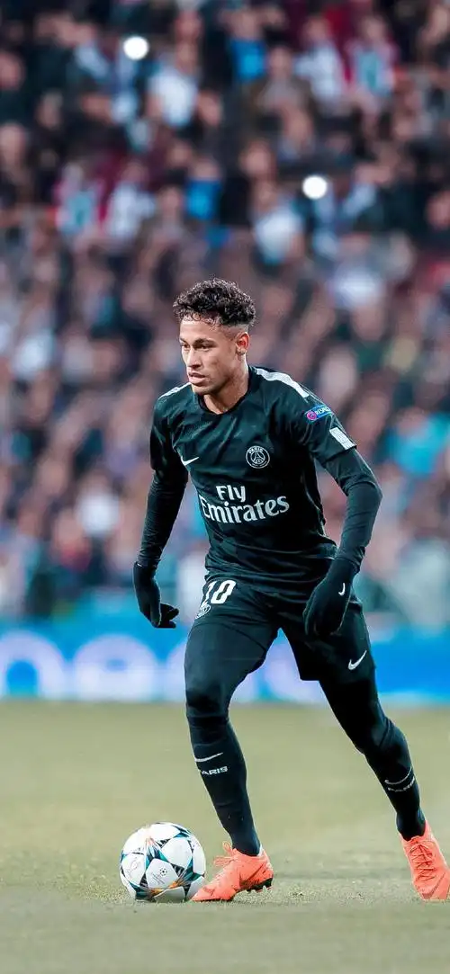 整的生態體 整的生態體